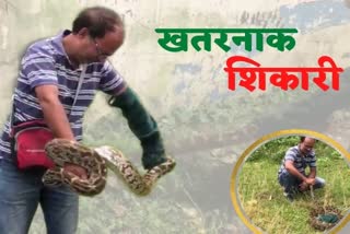 PIndian Rock Python in Hazaribagython Rescue Live