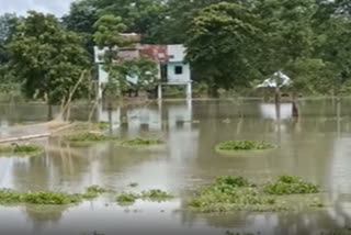 kaziranga National Park affected by Flood