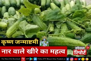 cucumber-goes-costlier-on-krishna-janmashtami-in-gorakhpur