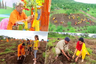 shantikunj plantation