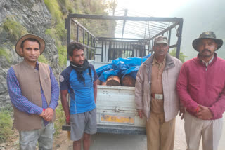 Forest department caught wood smugglers in Mandi