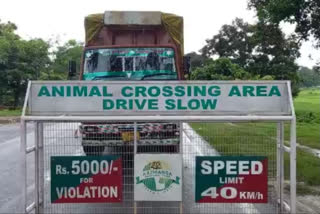 Speed limit restrained on NH 37 as flood water inundates Kaziranga