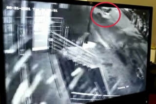 bengaluru car accident: cctv visuals