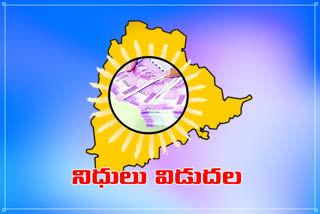 Funds to telangana, central government released funds