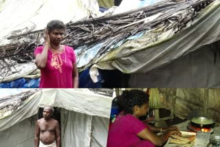 Home and land lost in landslide  landslide  Tribal family on the private land  ഉരുള്‍പൊട്ടലില്‍ വീടും സ്ഥലവും നഷ്‌ടപ്പെട്ടു  ഉരുള്‍പൊട്ടല്‍  ആദിവാസി കുടുംബം പെരുവഴിയിലായിട്ട് 3 വര്‍ഷം  ആദിവാസി കുടുംബം  ചെട്ടിയൻപാറയില്‍ ഉരുൾപൊട്ടല്‍  മലപ്പുറം ചാലിയാര്‍  ചെട്ടിയൻപാറ ഉരുൾപൊട്ടല്‍  chettiyanpara landslide