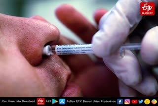 intra-nasal-corona-vaccine-trial-begins-in-kanpur