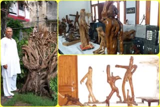 driftwood artist javed yousuf in gaya