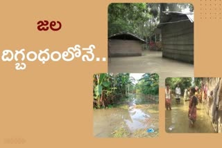 Assam flood