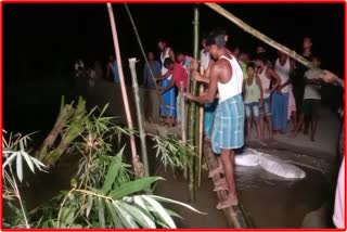 assam-flood-update