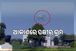 ସାବଧାନ ଶତୃ ! ଡେଣା ମେଲାଇ ଉଡୁଛି ଚଢେଇ ଡ୍ରୋନ