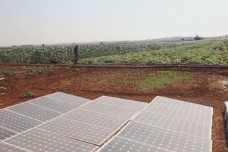 Syrian farmers turn to solar energy to power farms
