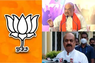 internal-displeasure-in-state-bjp-and-amith-sha-intervene