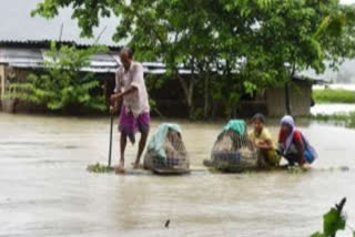 Assam floods