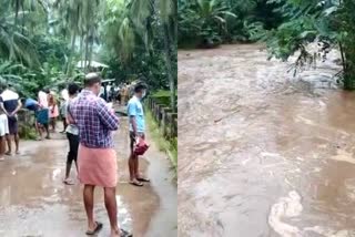 landslide in Mannarkkad  landslide in PALAKKAD  Mannarkkad  PALAKKAD  Mannarkkad landslide  മണ്ണാർക്കാട് ഉരുൾപൊട്ടൽ  ആളപായമില്ല  ഉരുൾപൊട്ടൽ  landslide  പാലക്കാട്  പാലക്കാട് ഉരുൾപൊട്ടൽ  മണ്ണാർക്കാട്  ഇരുമ്പകച്ചോലയിൽ ഉരുൾപൊട്ടൽ  ഇരുമ്പകച്ചോല