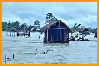 latest updates of floods in assam