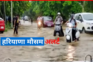 Haryana Weather Update heavy rain in gurugram and faridabad
