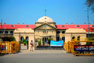 Allahabad high court