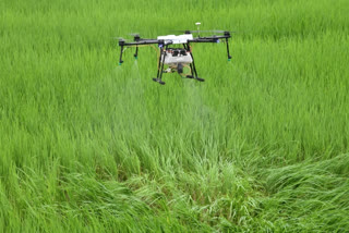 खेतों में ड्रोन