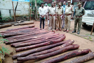 22 red sandalwood logs seized near Srivarimettu