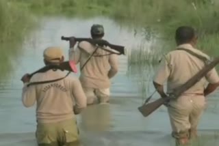 orang national park under flood