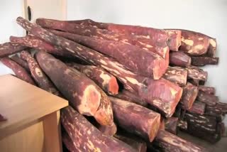 man-arrested-for-smuggling-red-sandalwood-in-hosakote