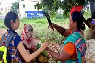 tender-coconut-water-business-dull-in-bagalkot