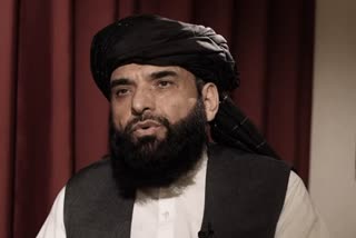 طالبان کے ترجمان سہیل شاہین