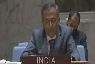 ભારતે UNSCને આપી ચેતવણી, સીરિયામાં આતંકવાદી પ્રવૃત્તિઓની અવગણના કરવાનું જોખમ ન ઉઠાવી શકાય