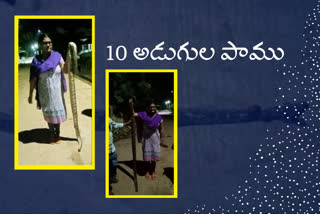 10-feet-long-python-at-athkuru-village-at-krishna-district