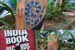 India Book of Records for painting snakes on wood  6 indian snakes on a wood  Kannur native namitha won india book of records  ഒറ്റത്തടിയില്‍ ആറ് പാമ്പുകളുടെ ചിത്രം  ഇന്ത്യന്‍ പാമ്പുകളുടെ ചിത്രം വരച്ച് ഇന്ത്യാ ബുക്ക് ഓഫ് റെക്കോര്‍ഡ്സിൽ ഇടം നേടി