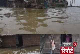 दरभंगा: हनुमाननगर प्रखंड में एक महीने से बाढ़ में डूबे हैं घर