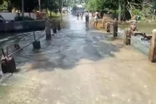 Gedda in the leaves overflowing with rains ... stagnant traffic