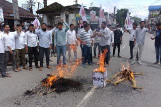 aasu-burns-effigy-of-pm-assam-cm-and-nhpc-in-anti-big-dam-protest