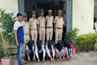 पिकअप चालक से लूट, डूंगरपुर में लूट,  पांच आरोपी गिरफ्तार, Robbery from pickup driver, robbery in dungarpur, five accused arrested