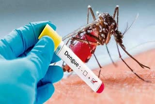 administration-alert-regarding-prevention-of-dengue-in-rishikesh