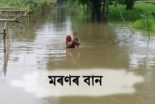 লখিমপুৰত সোৱণশিৰি প্ৰকল্পৰ বাঢ়িন পানীয়ে প্ৰাণ ললে এজন কিশোৰৰ