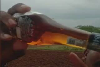 lizard-inside-tarmac-liquor-bottle-in-virudhunagar