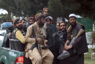 taliban insurgents