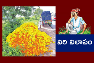 gunturu-district-kotanemalipuri-farmer-throwing-flowers-on-the-road-cause-of-losses