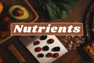 nutrition, health, nutrition week 2021, nutrition week, diet, foods, nutrients, antioxidants, water, protein, fat, carbohydrate, important nutrients