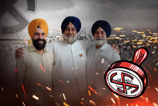 ਮਲੂਕਾ ਦੇ ਬੇਟੇ ਨੂੰ ਜਨਰਲ ਸਕੱਤਰ ਥਾਪਿਆ, ਹੁਣ ਖੁਦ ਲੜਨਗੇ ਚੋਣ