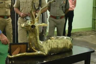 kolkata police recovered a golden deer from lalbazar malkhana
