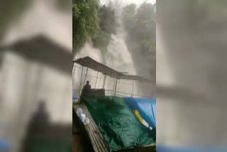 Watch: Water level of Kempty fall rises after heavy rain in mussoorie