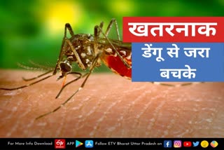 लखनऊ में डेंगू का खतरा