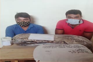 stf-arrested-two-wildlife-smugglers-with-guldars-skin