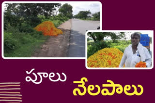 guntur flowers farmers face problems with rains and no rate in market