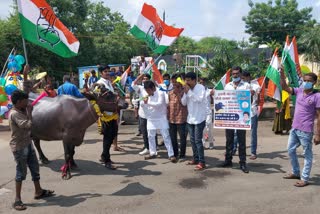 congress Unique Protest