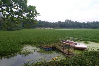 filth in Hazaribagh lake