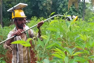 Machine for cutting edge of Crops