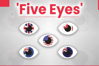 Five-Eyes